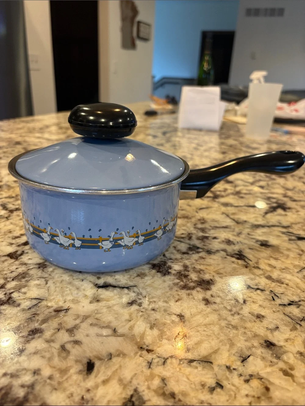 Vintage 1980s Meyer Cookware Blue Ribbon Country Goose Pot Set Great Condition